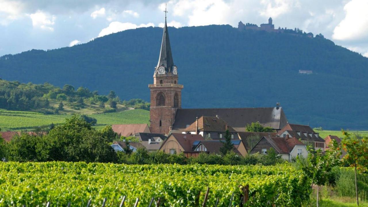 Ferienwohnung Le Petit Nid Bergheim Exterior foto