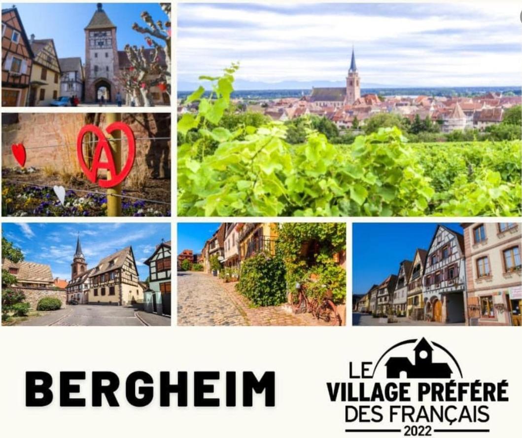 Ferienwohnung Le Petit Nid Bergheim Exterior foto